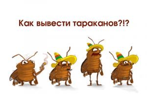 Как вывести тараканов