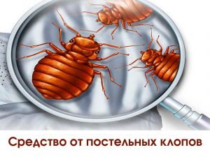 Средство от постельных клопов