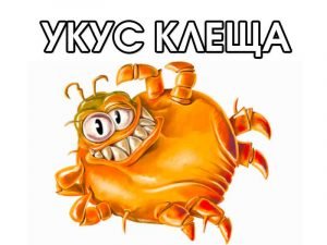 Укус клеща